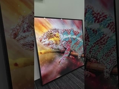 Uzun Şeritli Dokunmatik Ekran Monitörü İşletmeniz İçin Gelişmiş Ekran Teknolojisi